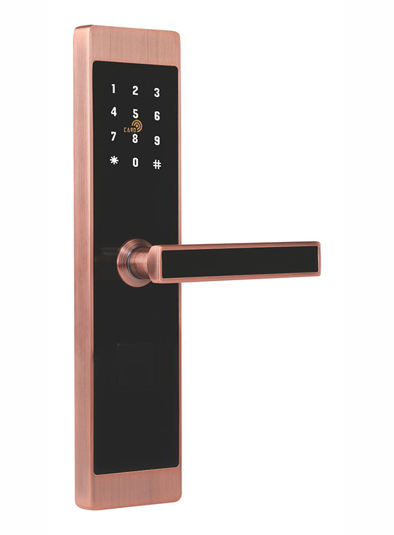 GLJ-9899LoRa無線聯網密碼鎖