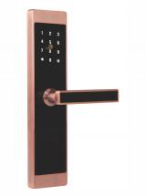 GLJ-9899LoRa無線聯網密碼鎖